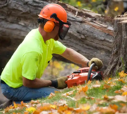 tree services Birch Run